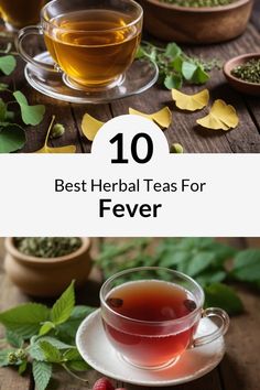 the top 10 best teas for fever, which are high in antioxidate