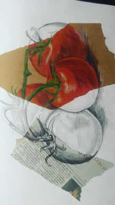 a drawing of tomatoes and onions in a bowl on top of a piece of paper