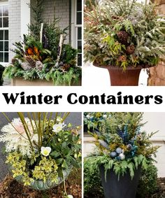 four different types of winter containers in front of a house with text overlay that says winter containers