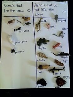 the animals that live in the snow are displayed on a sheet of paper with writing