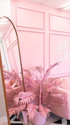 a pink room with a mirror and potted plant