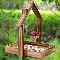 a bird feeder with a cardinal perched on it