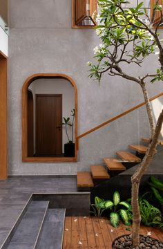 a tree in the middle of a room with stairs and plants on the ground next to it