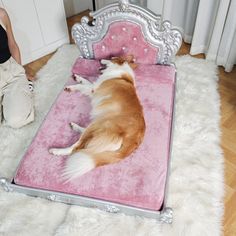 a brown and white dog laying on top of a pink bed in a living room