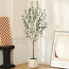 a potted plant sitting on top of a wooden table next to a framed photograph