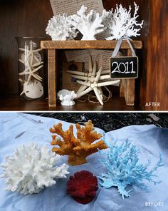 two pictures side by side, one with snowflakes and the other with corals