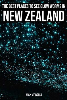 the best places to see glow worms in new zealand by walk my world book cover