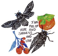 an image of three bugs with words written on them