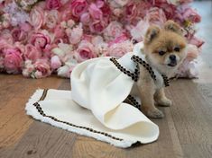 a small brown dog wearing a white dress on top of a wooden floor next to pink flowers