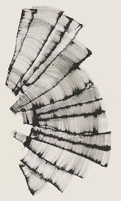 an abstract black and white drawing of lines in the shape of a bird's wing