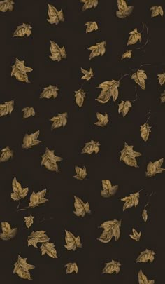 an image of leaves on a black background