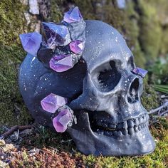 a skull with purple crystals on it's head sitting in the grass next to a tree