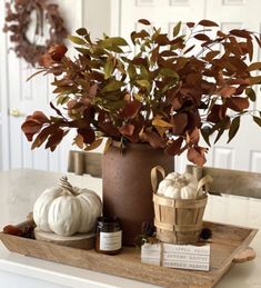 a table topped with a potted plant next to a container filled with leaves and pumpkins