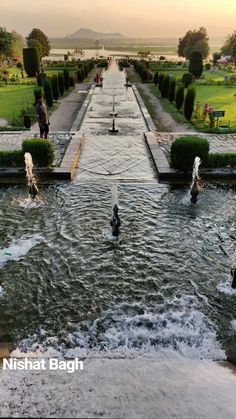 people are playing in the water at an outdoor park