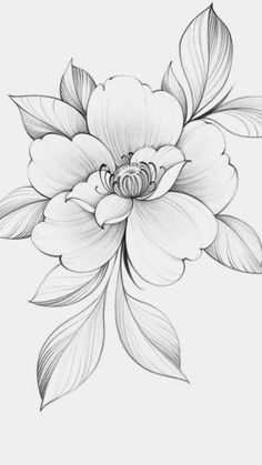 a black and white drawing of a flower with leaves on the bottom half of it