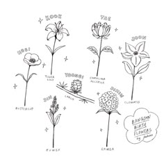 flowers are drawn in different ways with the words written on them and below it, there is