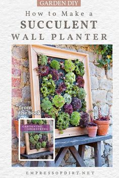 an advertisement for a succulent wall planter