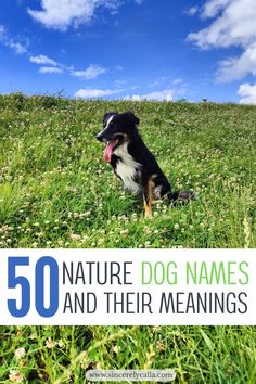 nature dog names Nature Inspired Names, Female Dog Names