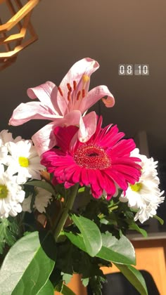 a vase filled with pink and white flowers