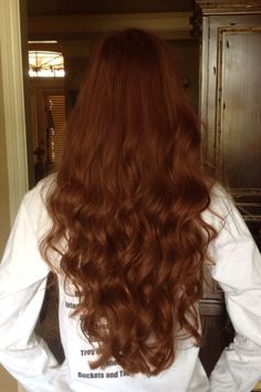 Long Brown Curly Hair, Cinnamon Hair, Reddish Brown Hair, Alicent Hightower, Brown Curly Hair, Velvet Hair, Long Wavy Hair