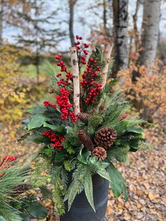 a potted plant with red berries and pine cones in it sitting on the ground