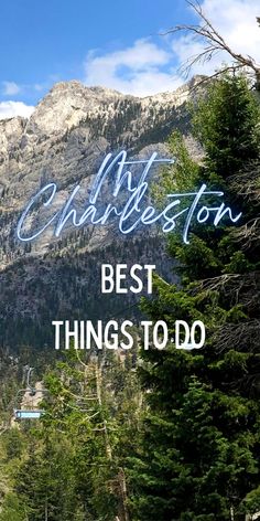 the words charlotte best things to do are in front of a mountain with pine trees