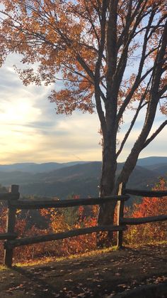 a wooden fence sitting next to a tree on top of a hillside