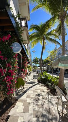 the sidewalk is lined with palm trees and white chairs, which are also decorated with pink flowers