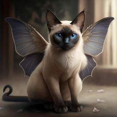 a siamese cat with blue eyes and wings sitting on the floor in front of a window