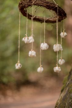 some cotton balls hanging from a tree branch