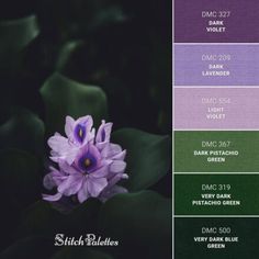 a purple flower sitting on top of green leaves in the middle of color swatches