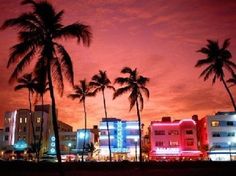 palm trees line the beach at dusk with buildings lit up in pink and blue colors