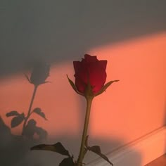 a single red rose sitting on top of a wooden table next to a white wall