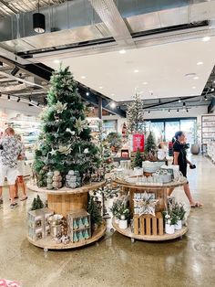 two christmas trees are on display in the store