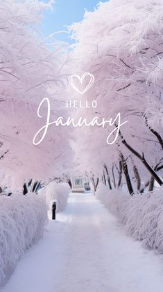 the words hello january are written in white on a snowy path lined with pink trees