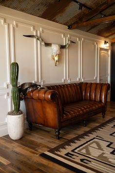 a living room with a leather couch and a cactus in the corner next to it