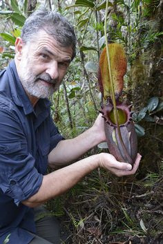 a man kneeling down in the woods holding up a flower that looks like an orchid