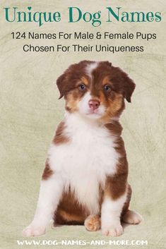 a brown and white puppy sitting on top of a green cover with the title unique dog names