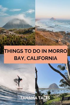 things to do in morro bay, california