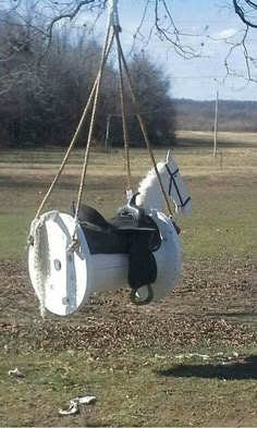 a horse is sitting in a tire swing