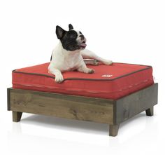 a black and white dog laying on top of a wooden bed frame with red cushion