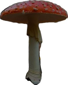 a red and white mushroom with brown spots on it's side, against a white background