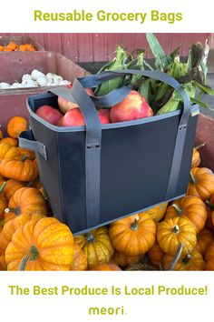 a large bag filled with lots of pumpkins next to other fruits and veggies