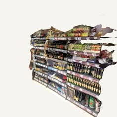 an image of a grocery store display with many items on the shelves and one in the foreground