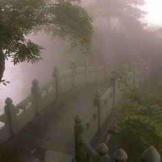 a foggy park with stone steps and trees