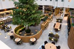 an overhead view of a restaurant with tables and chairs, trees in the center and lights on the walls