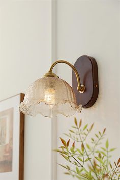 a wall light with a glass shade hanging from it's side next to a potted plant