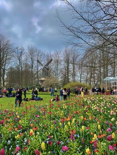 many people are standing in the grass near some trees and flowers with windmills in the background