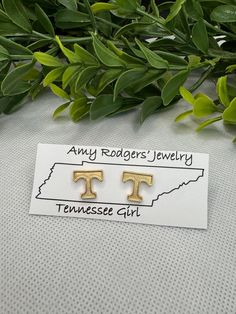 Power T stud earrings featuring a power T!  Go Vols! Please keep in mind that some computer monitors and devices may make colors appear slightly different. Join me on my Jewelry Journey To go back to the home page: https://www.etsy.com/shop/amyrodgersjewelry Instagram: @amyrodgersjewelry Facebook: https://www.facebook.com/amyrodgersjewelry Tennessee Girls, Go Vols, Studs Earrings, Make Color, Computer Monitors, Keep In Mind, Join Me, Jewelry Earrings Studs, Home Page