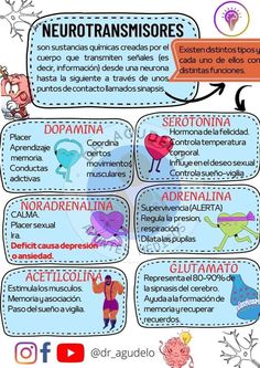 a poster with different types of neurotrans and other things to see on it